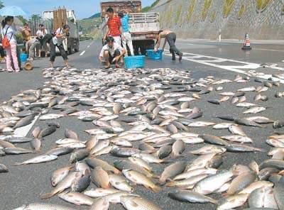 空中降魚(yú)視頻 揭秘罕見(jiàn)空中降魚(yú)現象原理，末日預兆恐怖的空中降魚(yú)實(shí)圖