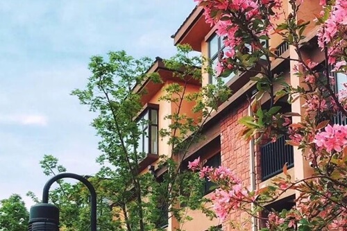 遼寧逸景母嬰會(huì )所環(huán)境