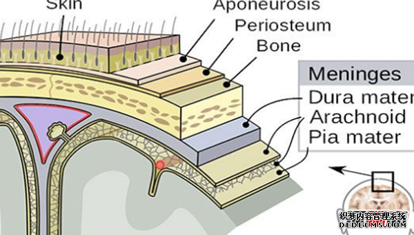 人最痛苦的是什么?揭秘人世間最痛苦的10件事