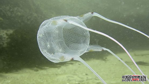 人最痛苦的是什么?揭秘人世間最痛苦的10件事