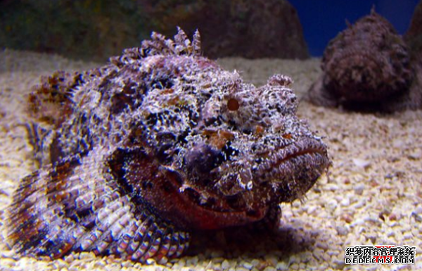 人最痛苦的是什么?揭秘人世間最痛苦的10件事