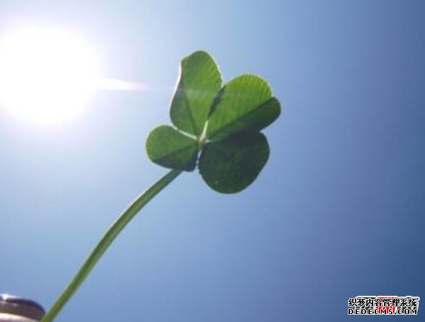 人走好運有哪些征兆?人要走好運的20個(gè)征兆