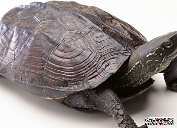 人走好運有哪些征兆?人要走好運的20個(gè)征兆