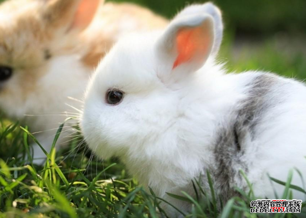 人走好運有哪些征兆?人要走好運的20個(gè)征兆
