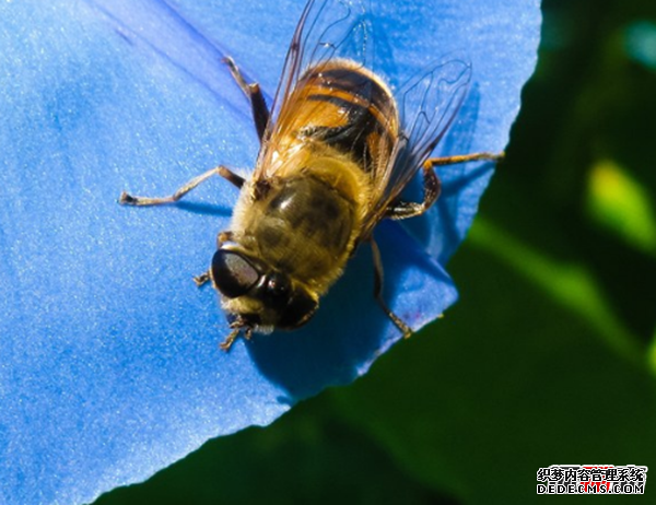 人走好運有哪些征兆?人要走好運的20個(gè)征兆