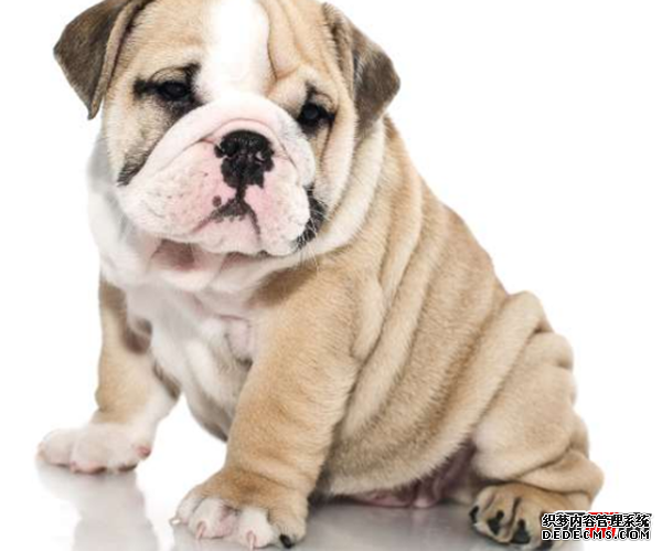 人走好運有哪些征兆?人要走好運的20個(gè)征兆