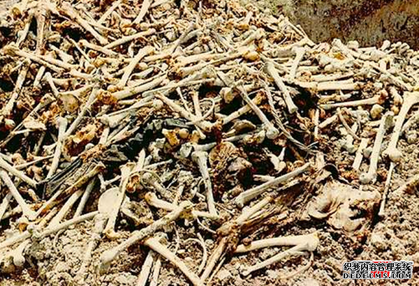 人死后尸體如何處理?處理尸體的十大最常見(jiàn)辦法