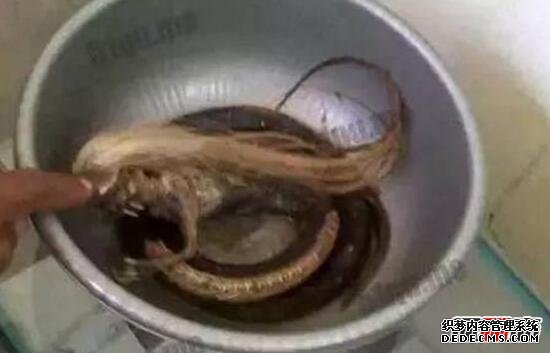 人頭蛇身怪物震驚全球