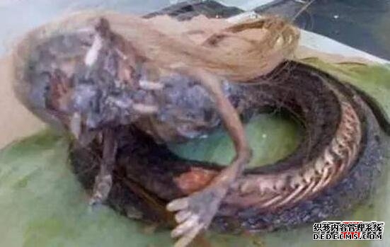 人頭蛇身怪物震驚全球