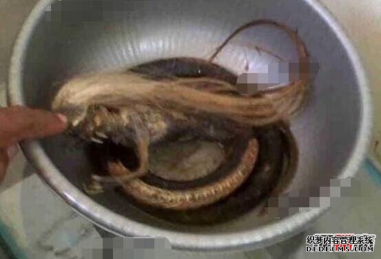 人頭蛇身怪物震驚全球