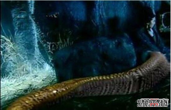 人頭蛇身怪物震驚全球
