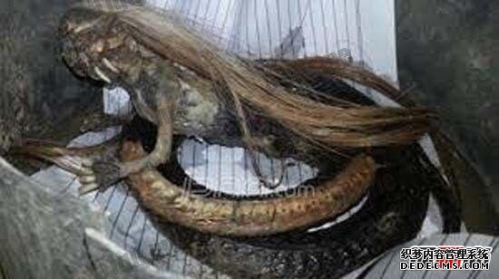 人頭蛇身怪物震驚全球