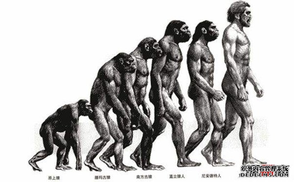 人類(lèi)起源之謎：揭秘人類(lèi)由來(lái)的三大可能(外來(lái)物種)