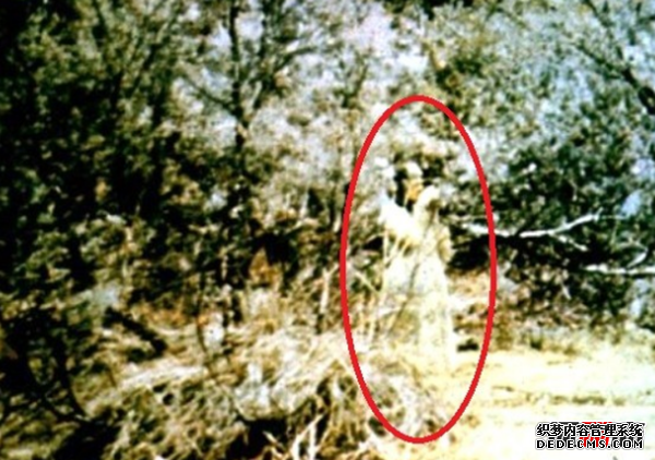 人死后的鬼魂照片?十張嚇死人30萬(wàn)的照片