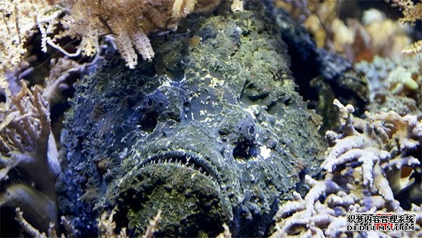 人生最痛苦的事情莫過(guò)于?世界上十大最痛苦的事情