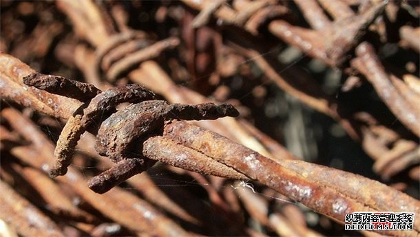 人生最痛苦的事情莫過(guò)于?世界上十大最痛苦的事情