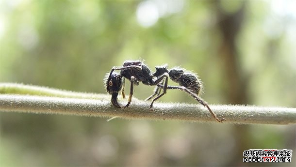 人生最痛苦的事情莫過(guò)于?世界上十大最痛苦的事情