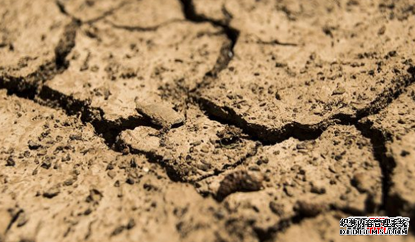 人類(lèi)將在多少年后滅絕?人類(lèi)滅絕的10大原因揭秘