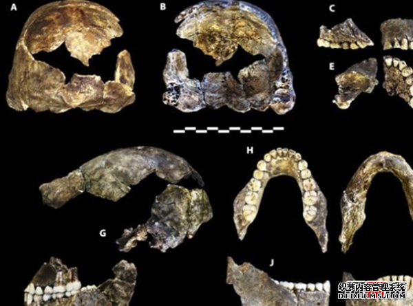 人類(lèi)根本不是進(jìn)化來(lái)的?尚未破解的進(jìn)化十大謎團