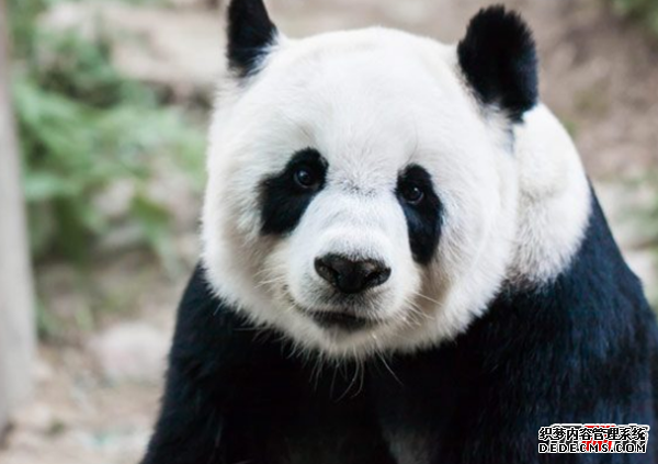 人類(lèi)根本不是進(jìn)化來(lái)的?尚未破解的進(jìn)化十大謎團