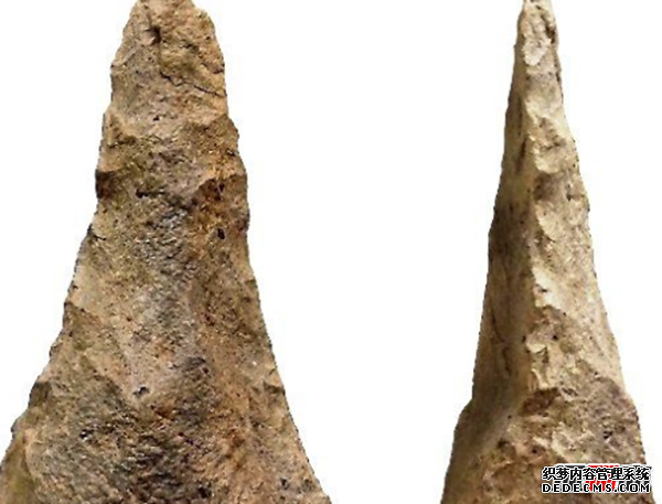 人類(lèi)根本不是進(jìn)化來(lái)的?尚未破解的進(jìn)化十大謎團