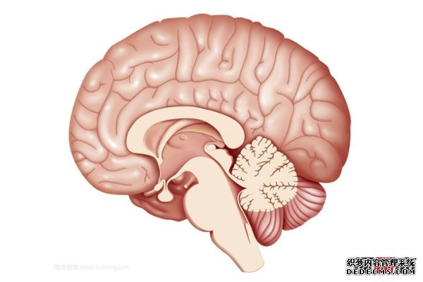 人類(lèi)的大腦其實(shí)很可怕
