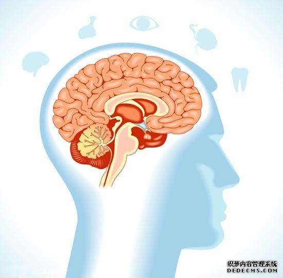 人類(lèi)的大腦其實(shí)很可怕