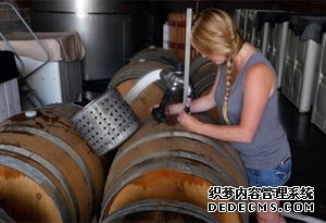 葡萄酒的裝瓶過(guò)程