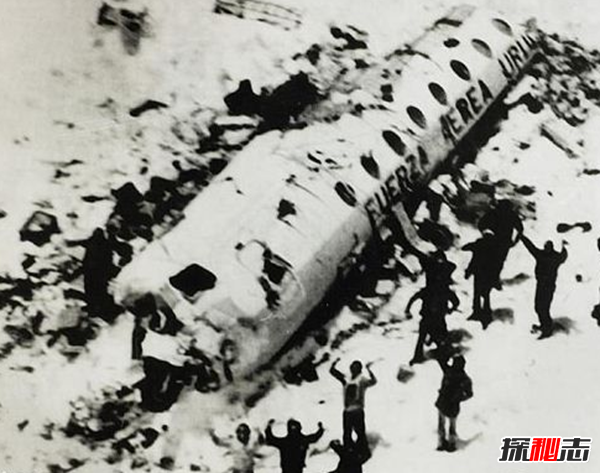 全球十大震驚世界慘案,HelloKitty藏尸案令人毛骨聳然