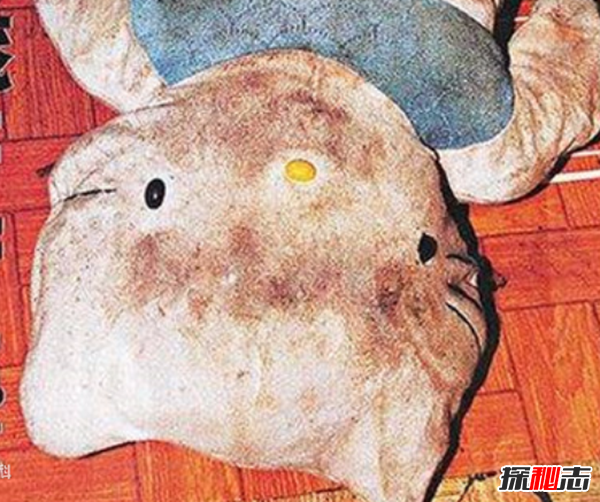 全球十大震驚世界慘案,HelloKitty藏尸案令人毛骨聳然