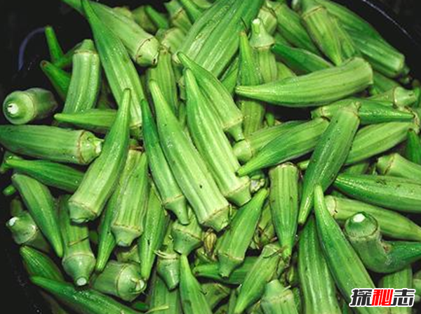 秋葵是什么東西?不要再被秋葵忽悠了真相在這(蔬菜之王)
