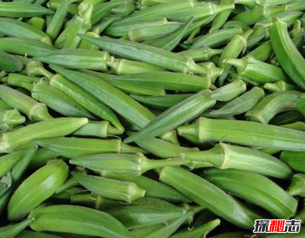 秋葵是什么東西?不要再被秋葵忽悠了真相在這(蔬菜之王)