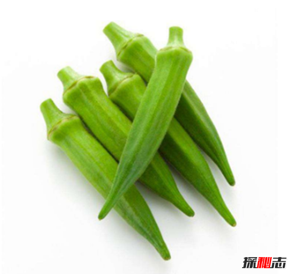 秋葵是什么東西?不要再被秋葵忽悠了真相在這(蔬菜之王)