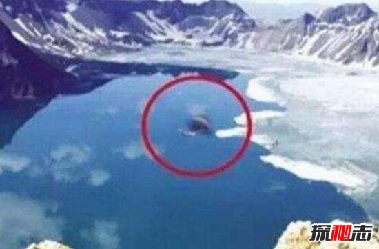 青海湖水怪之謎，體長(cháng)超14米形似恐龍(視頻)