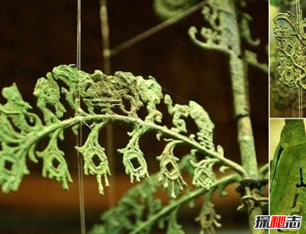 青銅神樹(shù)的秘密揭秘：青銅神樹(shù)為什么逆天?