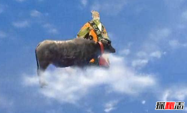 青牛是什么牛?青牛的來(lái)歷(太上老君的瑞獸坐騎)