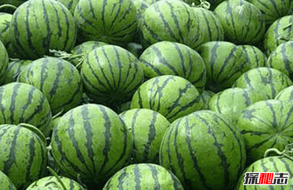 秦皇島9月1日殺人案真相,兇手為什么要殺人?(附資料)