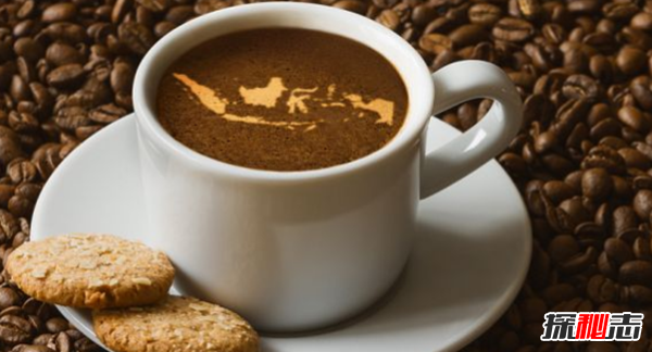 全球十大咖啡生產(chǎn)國 越南排第二,第五美譽(yù)為咖啡之鄉