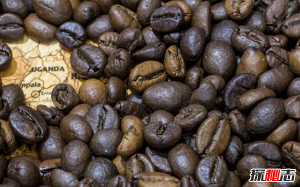 全球十大咖啡生產(chǎn)國 越南排第二,第五美譽(yù)為咖啡之鄉