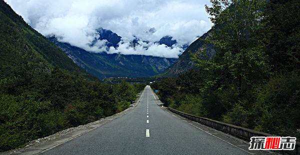 騎行318死了多少人