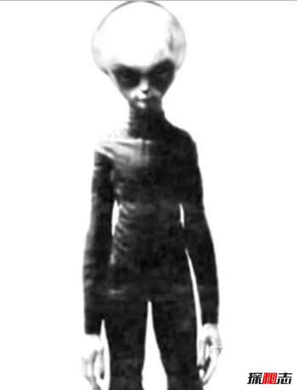 齊塔人和昴宿星人,地球上真實(shí)存在的外星人