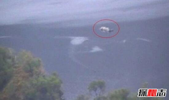 曝光銅山湖水水怪真實(shí)照片，頭如野牛雙眼似綠燈