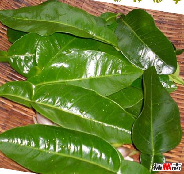 辟邪的東西有哪些?實(shí)用的十大辟邪物品(剪刀辟邪驅鬼?yè)跎窔?