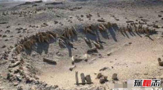 詭異的彭加木事件，彭加木攜帶病毒失蹤引發(fā)大量復制人