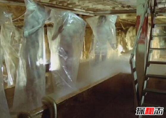 詭異的彭加木事件，彭加木攜帶病毒失蹤引發(fā)大量復制人