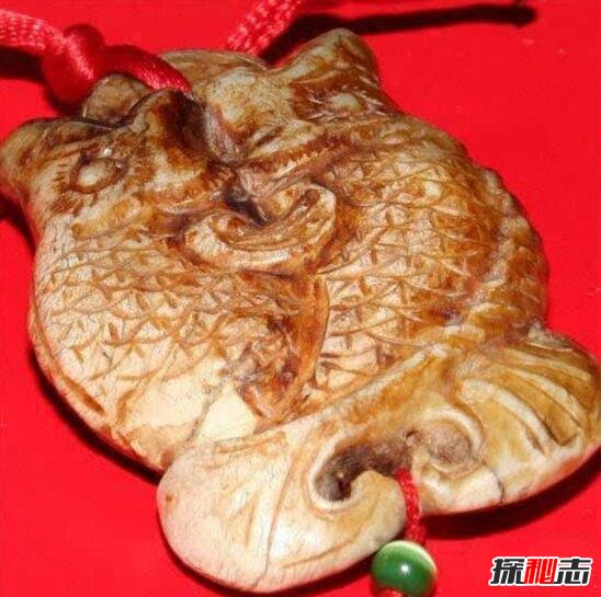 詭異的彭加木事件，彭加木攜帶病毒失蹤引發(fā)大量復制人