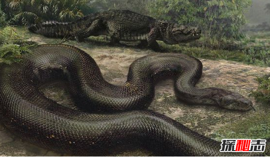 太古時(shí)代的恐怖生物