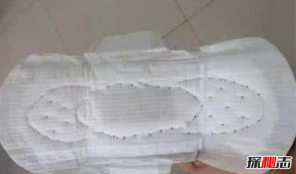 女孩懷孕生20只老鼠 真相太崩潰