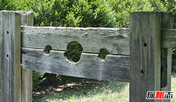 你能受得了酷刑嗎?現代最厲害的十二大酷刑方法