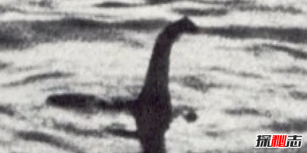 十大未解怪獸之謎,親眼被見(jiàn)到卻無(wú)法得到證實(shí)